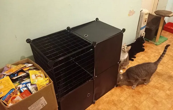 tjJIi3j46-mxxWlcEGyDi481k2M0UVgE5Cq-IjTNAc8QFGbrHGKQRr_FBxpSnmLuQOCrTVLiNzmJTQaCBQTVExUu