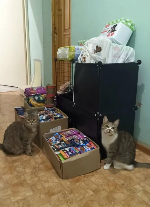 2QjUgrMNbgIAY8U9abCwHV6yr-iqbDhXUN8-nbYQ1kwL634Qwtk6tahEwJkC7Ssz0HlMSQe1uYTIRb4-9FsFi4az