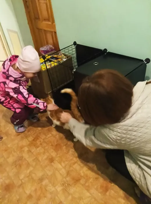 GpehgN6SDaI3-FVWwWMm8oN1Ws5S0VU3hTEcIcLnStVbaU2oC-NbsO4XTCgrd312nzIe2brT9K3nGP_6v6YMY-ZM