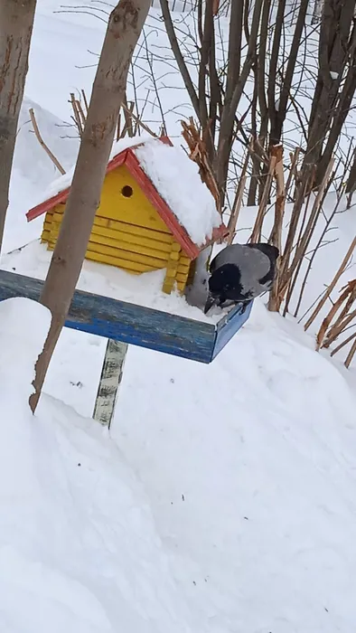 u1HXuKtKWezX5m5rMVD5SzrKb1UjRaCfYjdw2QeV2PI1RJuMa-XSUNoPyg-XSKW0iHensPtFDHTR5Cdo1I3Y-QQs